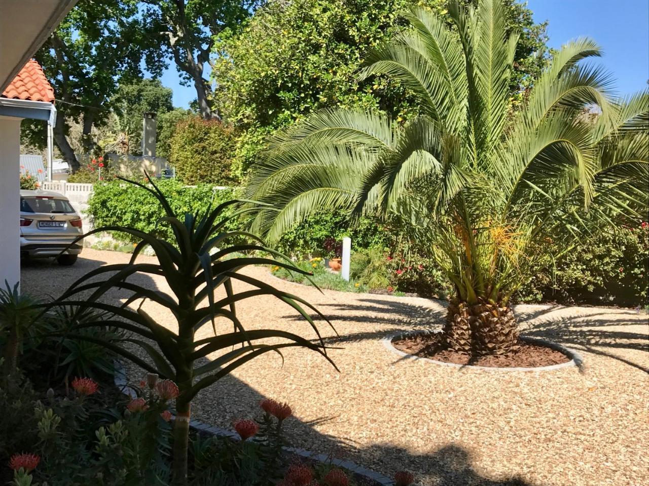 Grenadilla (Adults Only) Apartamento Constantia Exterior foto